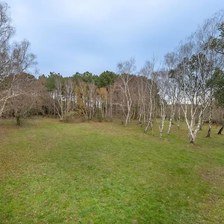 Feriehus Belle Maison Chaleureuse Pour 14 Personnes Mesquer